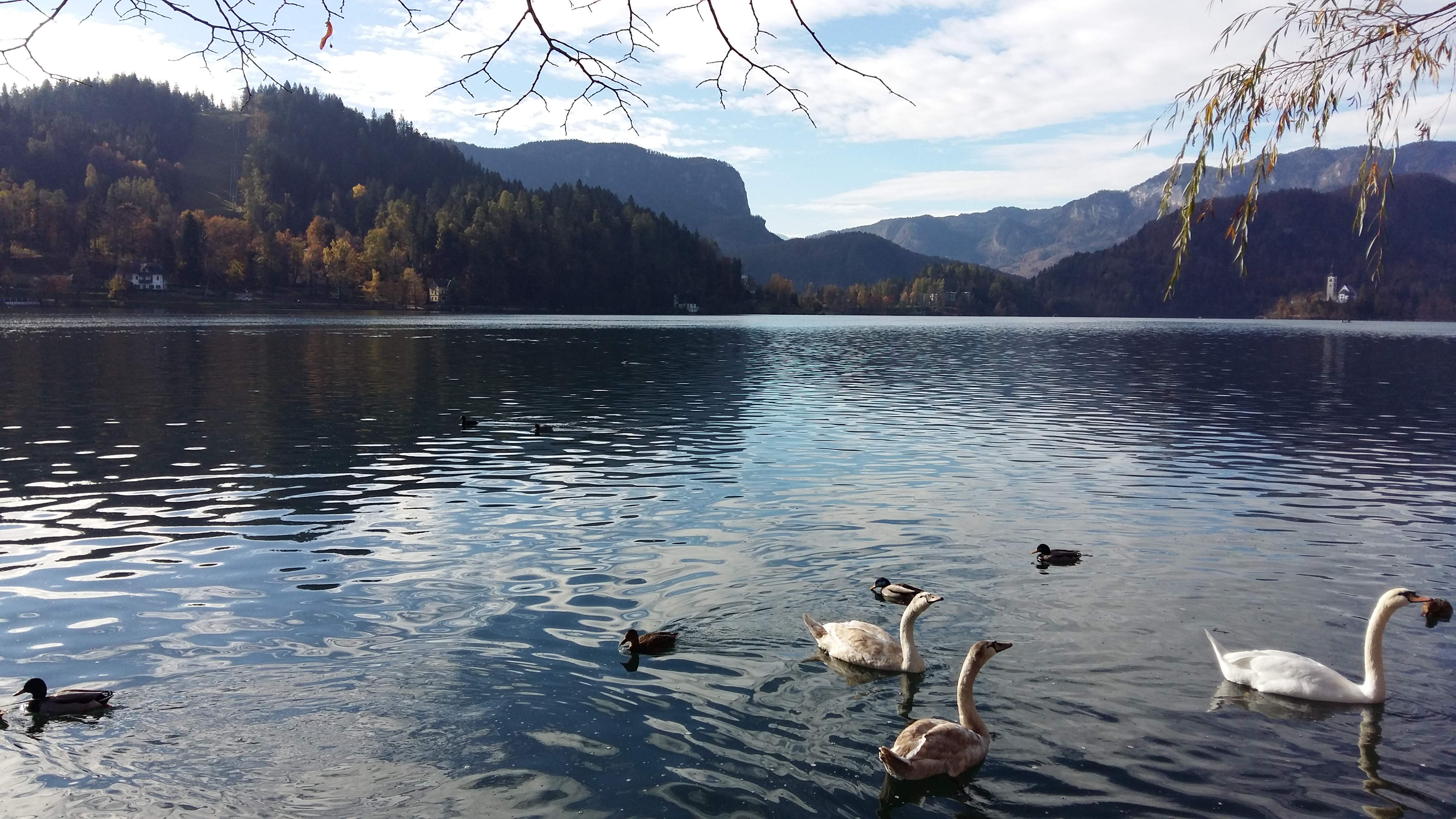 Slovene listening and reading Zakleti Zaklad Part 2
