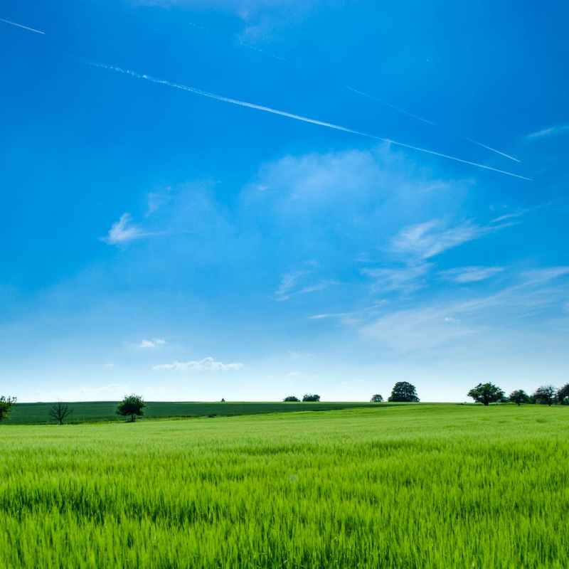 City vs. Countryside English&nbsp;vocabulary