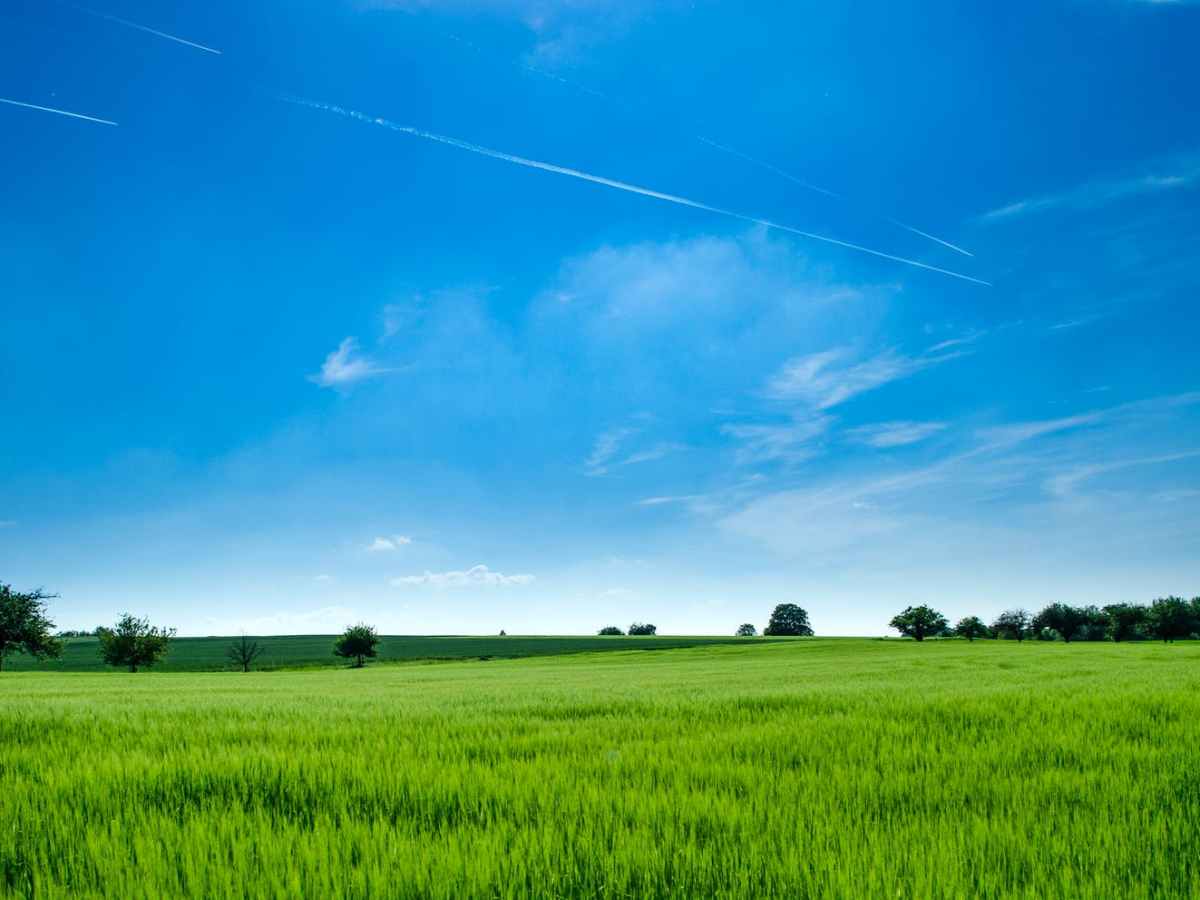 City vs. Countryside English&nbsp;vocabulary