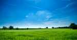 green field and blue sky