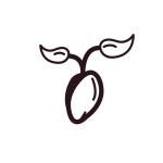 black seed