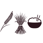 Representation of cereal, wheat and rice 