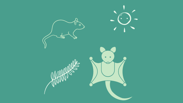 Mongolian rat gerbil and a sugar glider(flying squirrel)