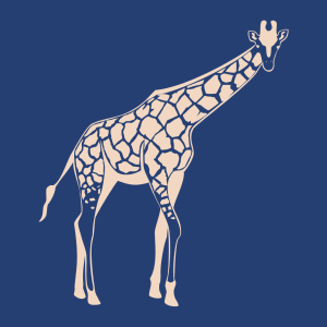 Animals,  živali