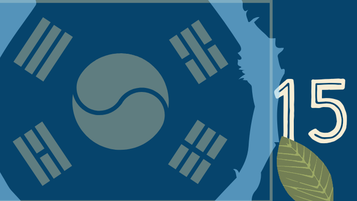 Korean flag, number 15