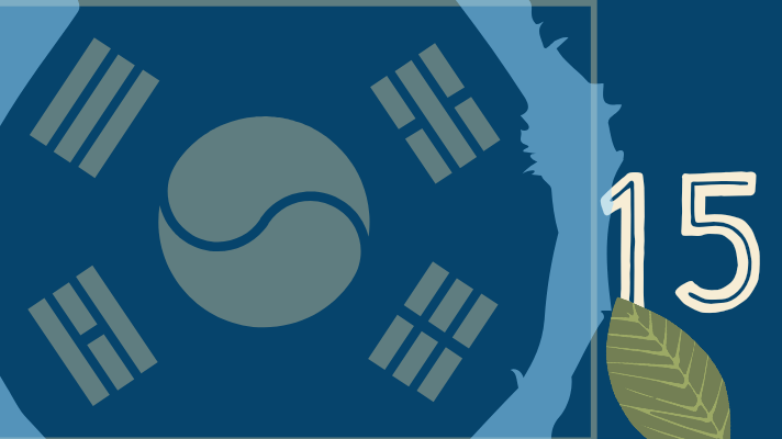 Korean flag, number 15