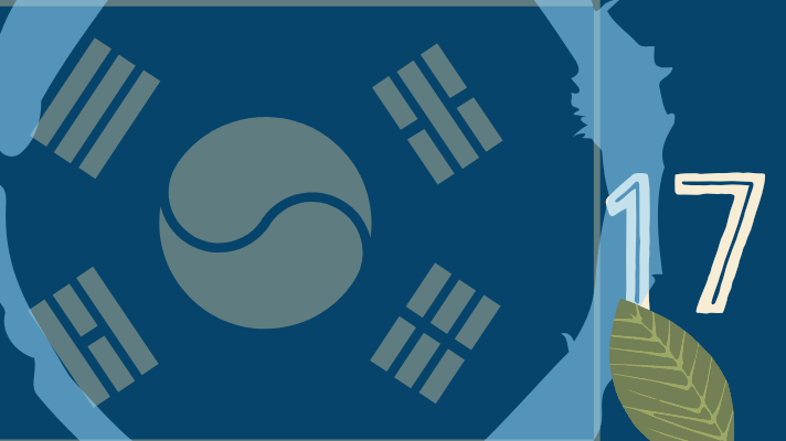 Korean flag, number 17, leaf